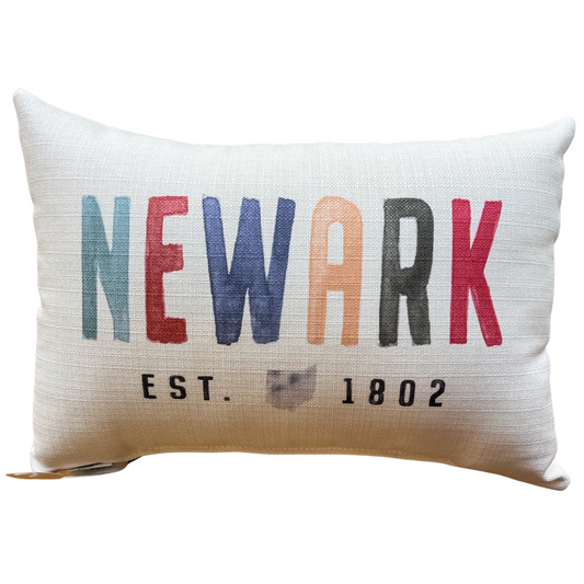 Multicolored Newark Pillow