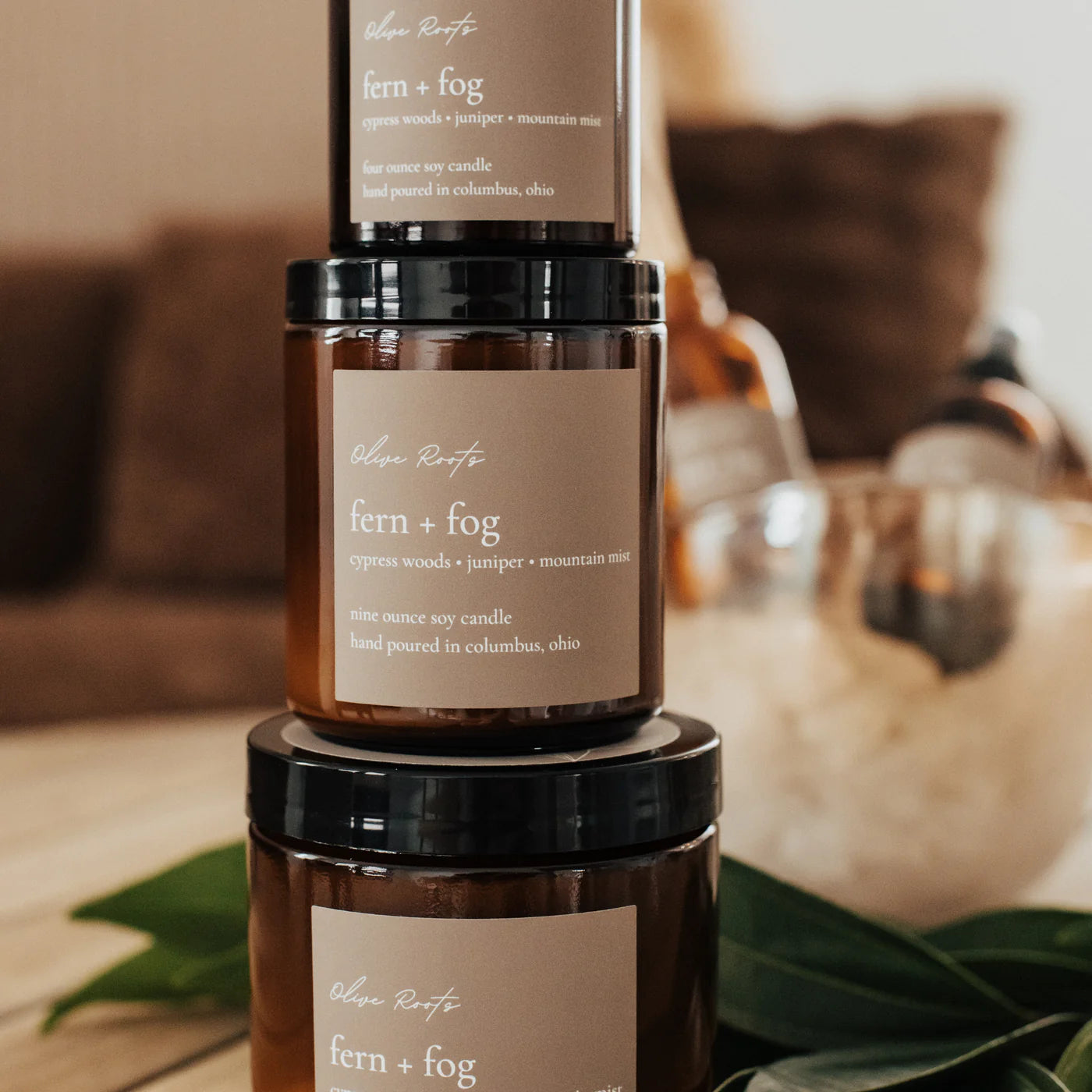 Fern + Fog Candle - 9oz