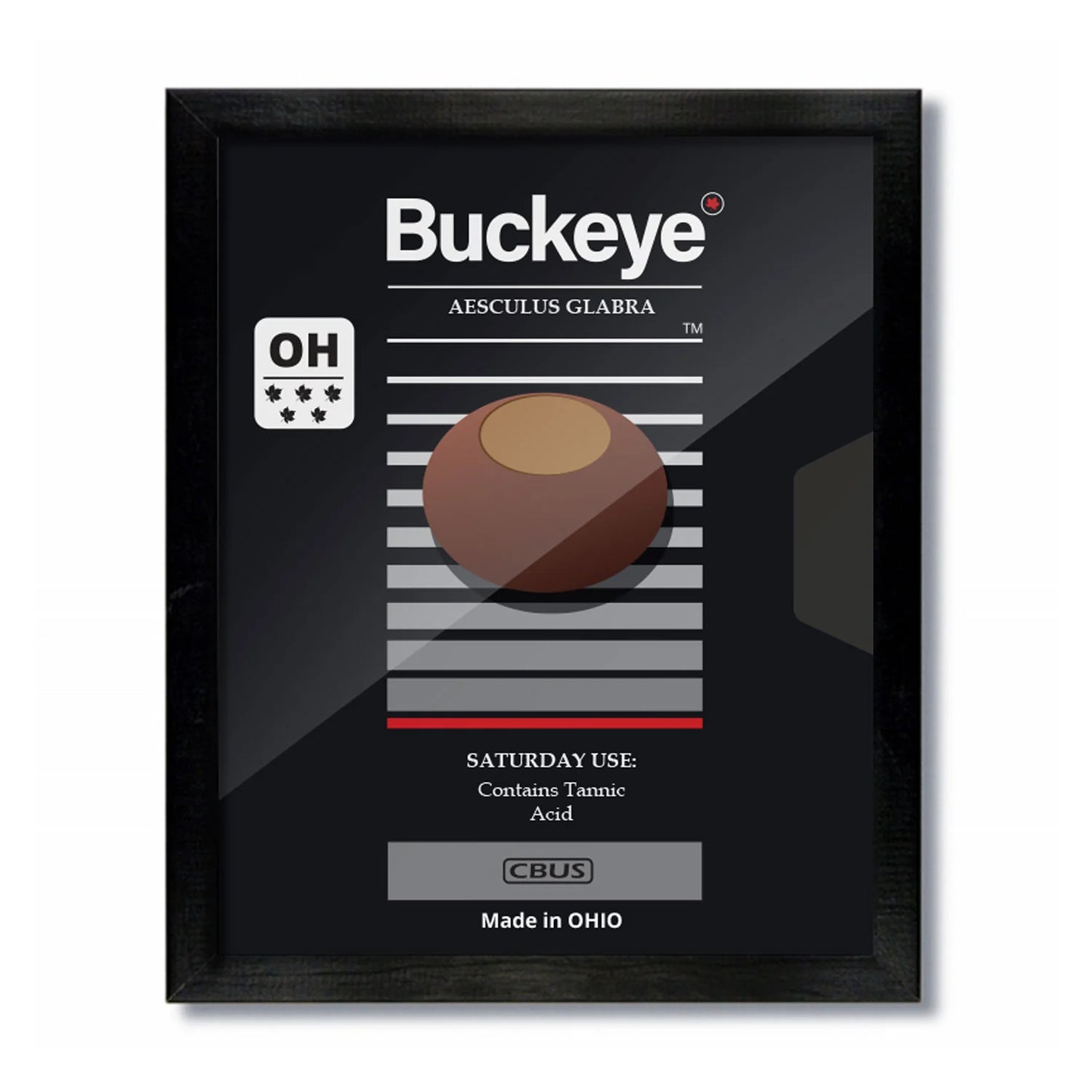 Vintage Retro Ohio Framed Prints