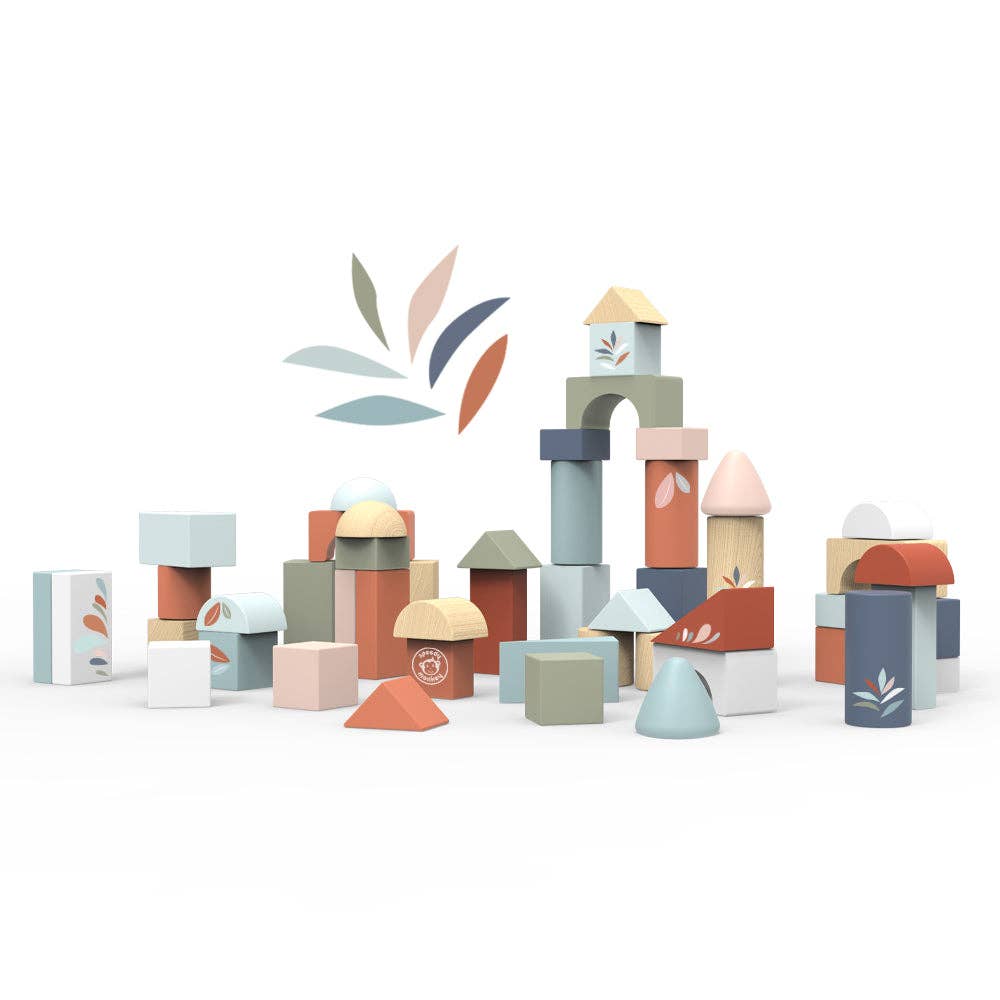 Building Blocks (50 pieces)