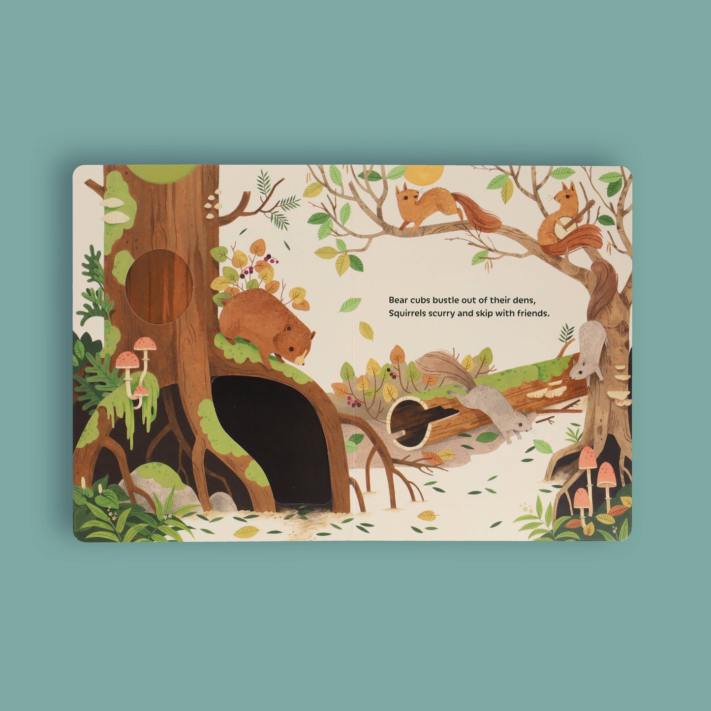 Sunrise Dance - Board Book