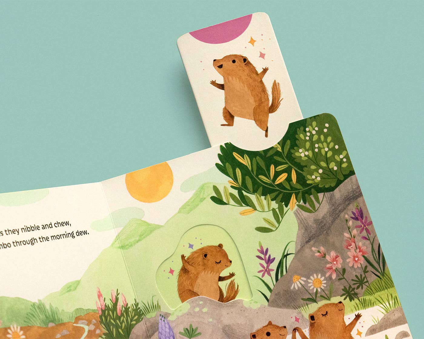 Sunrise Dance - Board Book