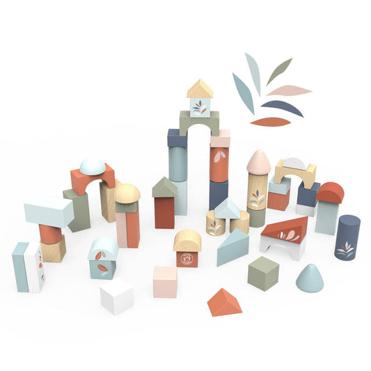 Building Blocks (50 pieces)