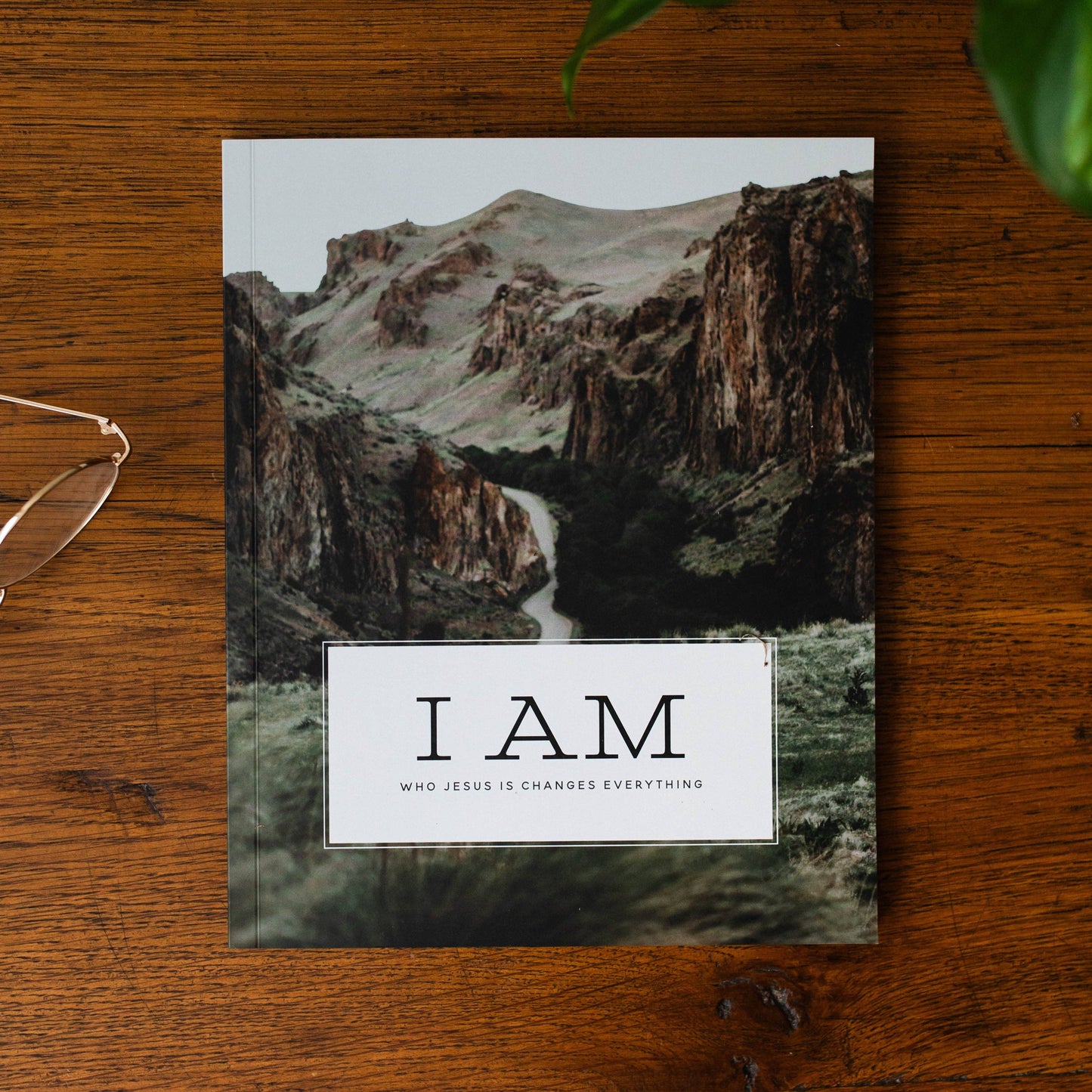 I Am - Who Jesus Is Changes Everything -Devotional for Men