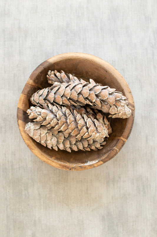 Frosted Pine Cones - Set of 6