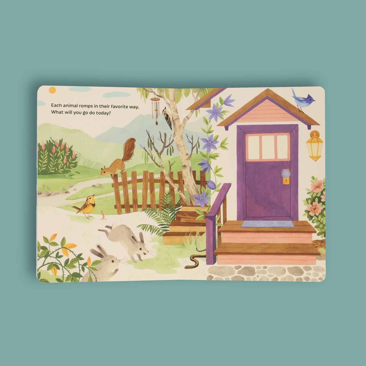 Sunrise Dance - Board Book