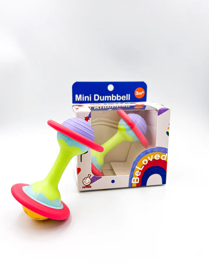 Mini Dumbbell Baby Toy